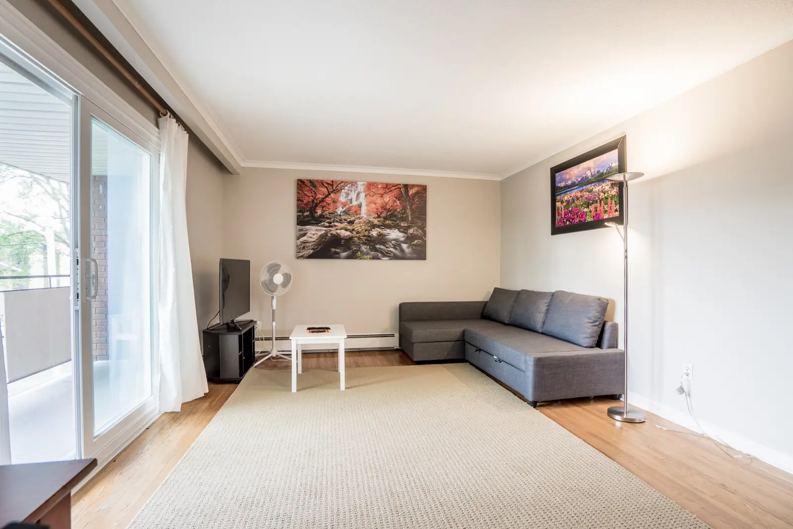 Living room with main furniture and TV area